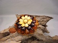 Brooch/Pendant Daisy 3 Colors