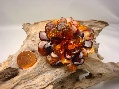 Brooch/Pendant Aster Multicolor