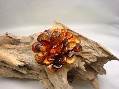 Brooch/Pendant Aster Multicolor