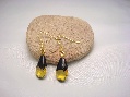 Earrings Green Color Faceted Chestnut
