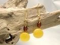 Earrings Milky Color Candy and Cognac Color Olive