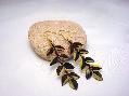 Earrings Dual Color Ivy, Long