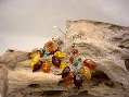 Earrings Multicolor Ivy Fan with Tuquoise 